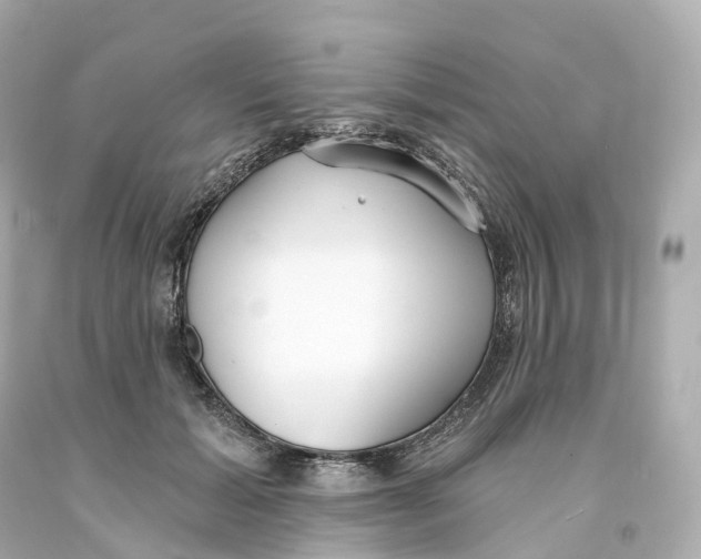 X0000093090605200710241202