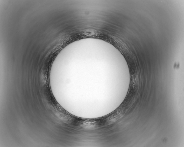 X0000093090606200710241202