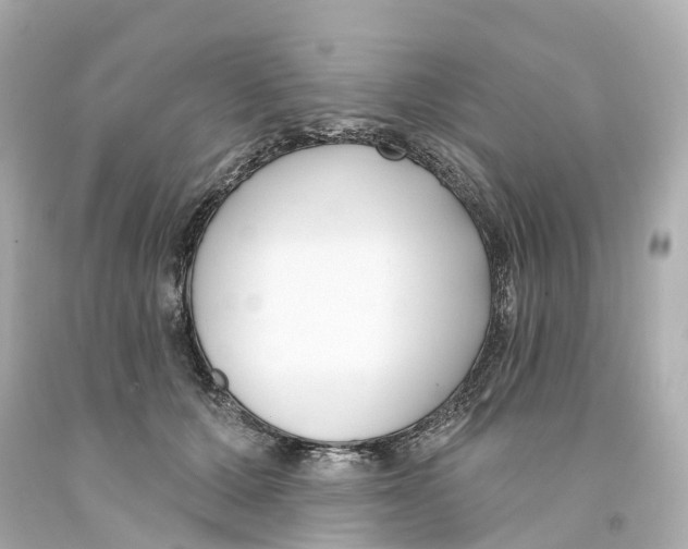 X0000093090607200710241202