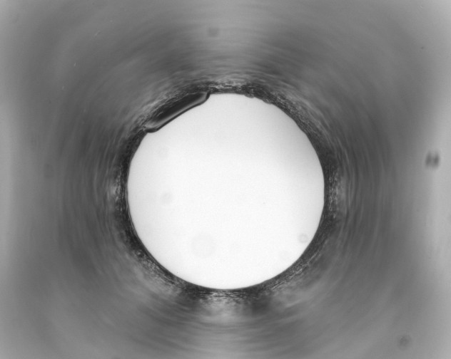 X0000093090608200710241202