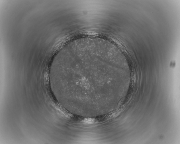 X0000093090609200710241202