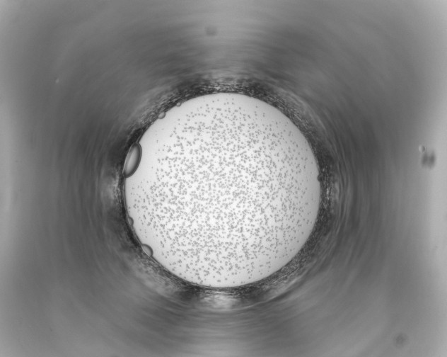 X0000093090610200710241202