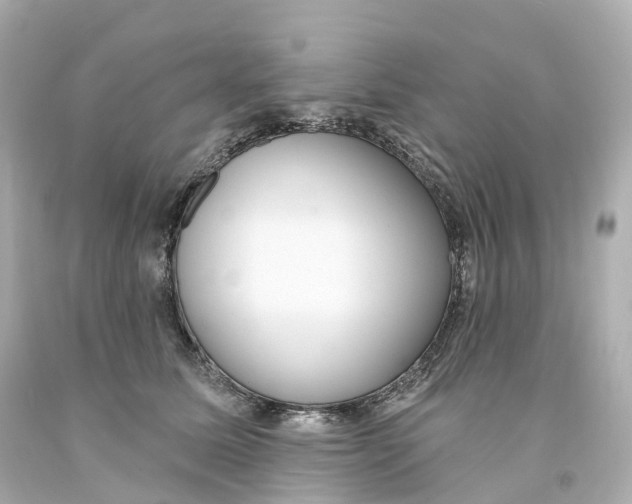 X0000093090611200710241202