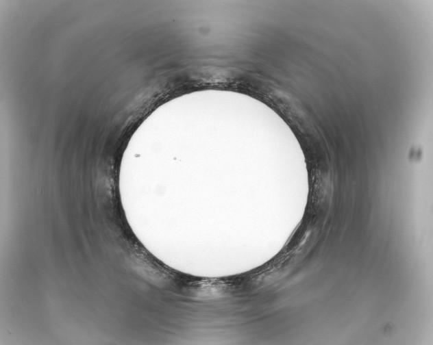 X0000093090612200710241202