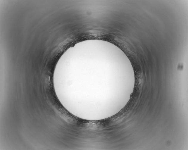 X0000093090615200710241202