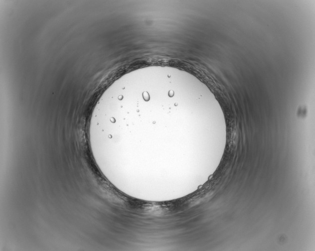 X0000093090616200710241202