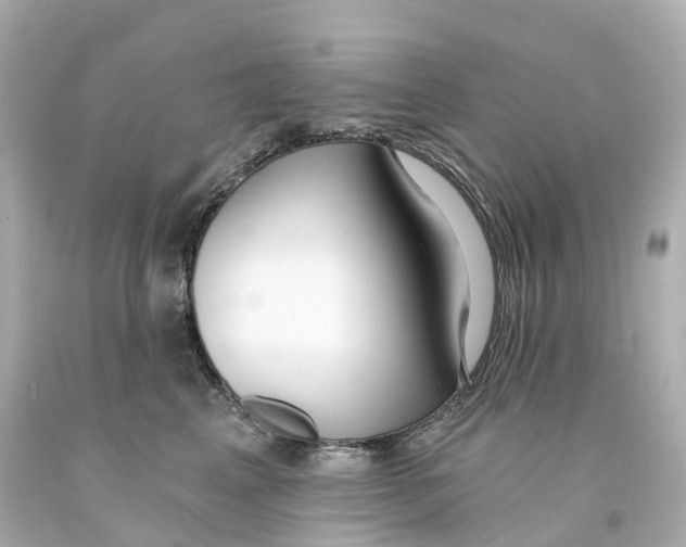 X0000093090617200710241202