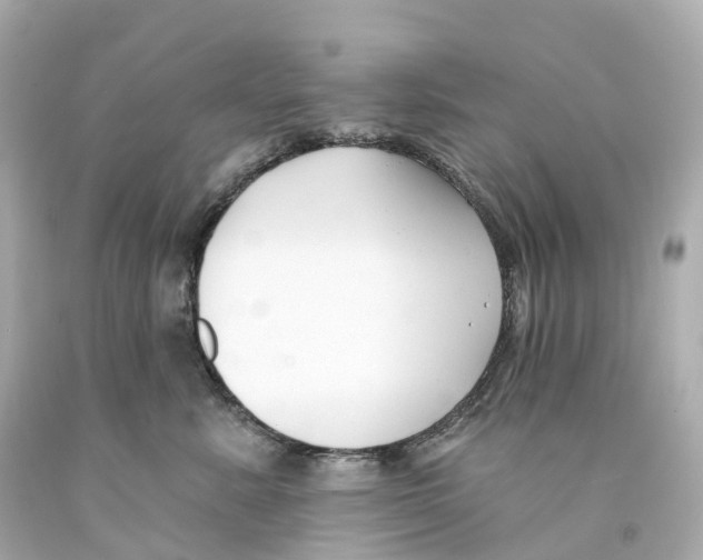 X0000093090619200710241202