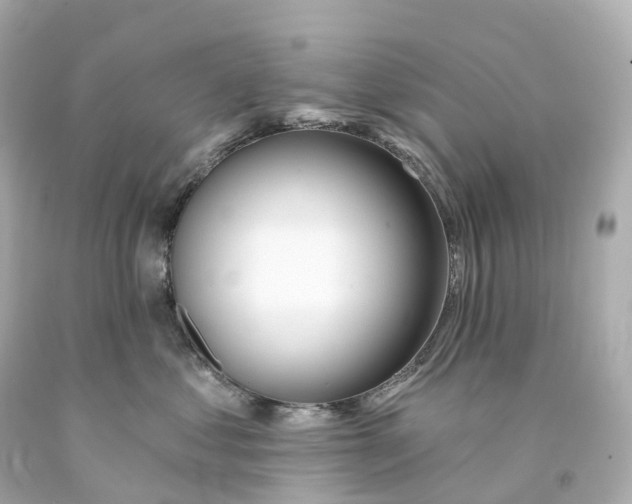 X0000093090621200710241202