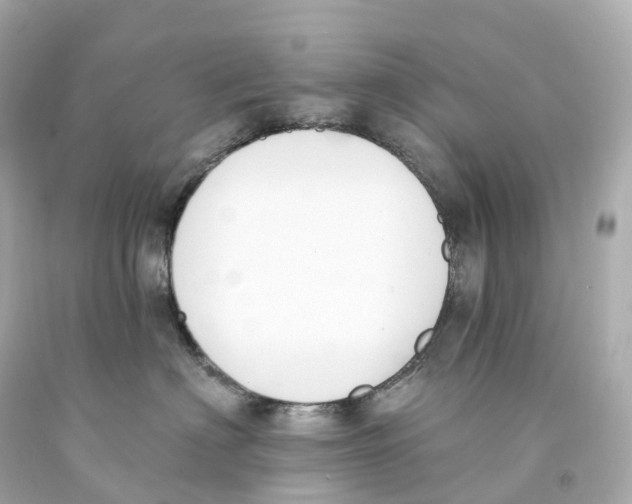 X0000093090622200710241202