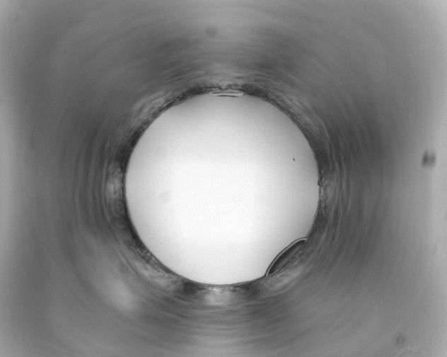 X0000093090623200710241202