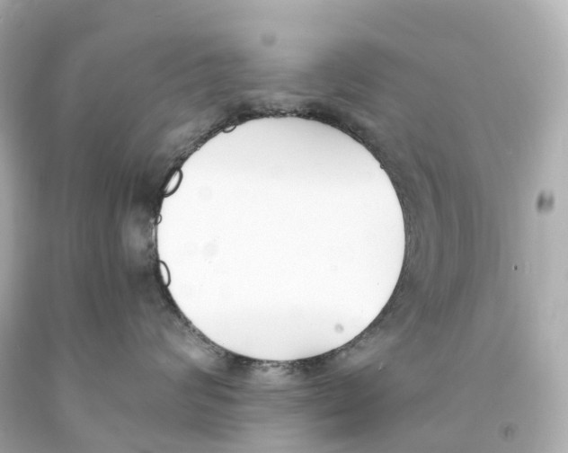 X0000093090624200710241202