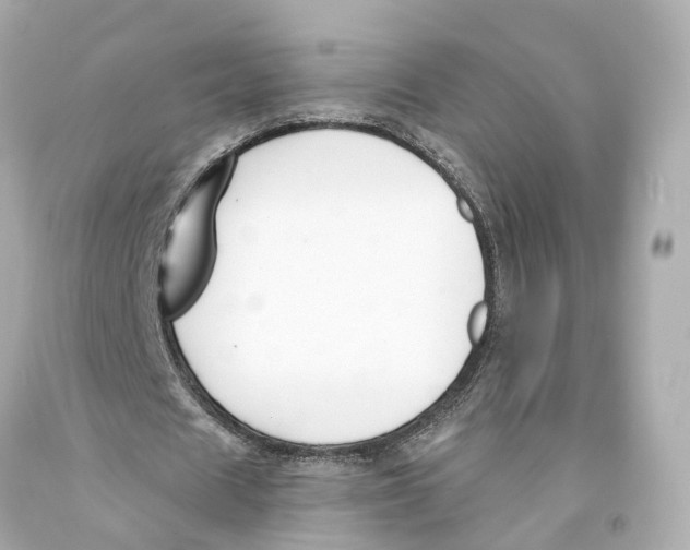 X0000093090625200710241201