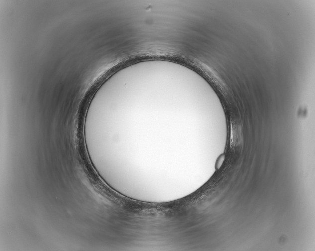 X0000093090627200710241201