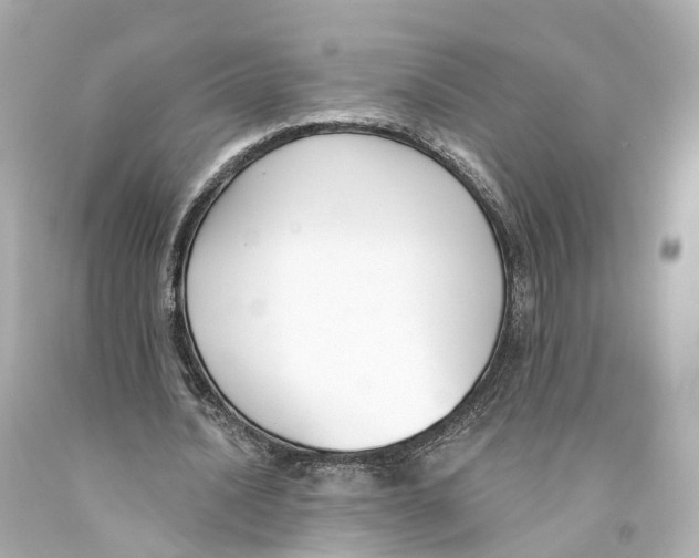 X0000093090628200710241201