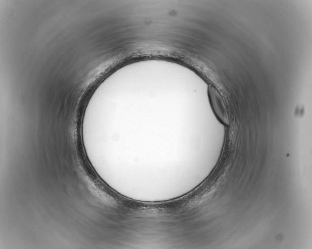 X0000093090629200710241201