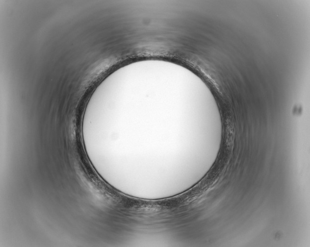 X0000093090631200710241201