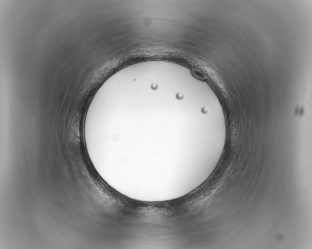 X0000093090633200710241201