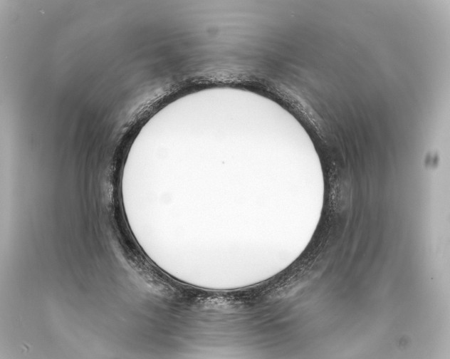 X0000093090635200710241201