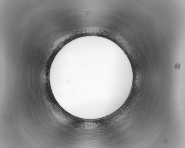 X0000093090636200710241201
