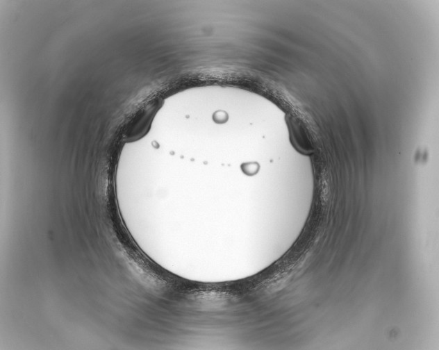 X0000093090637200710241201