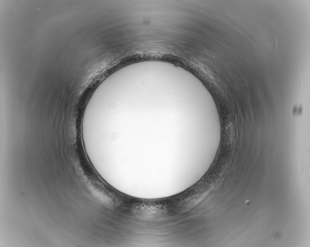 X0000093090638200710241201