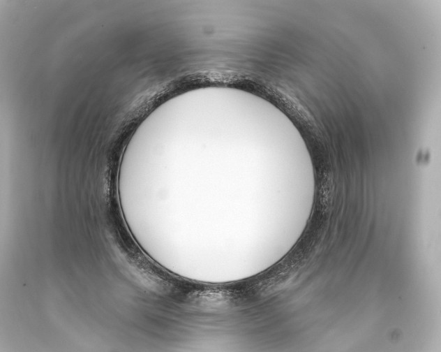 X0000093090639200710241201
