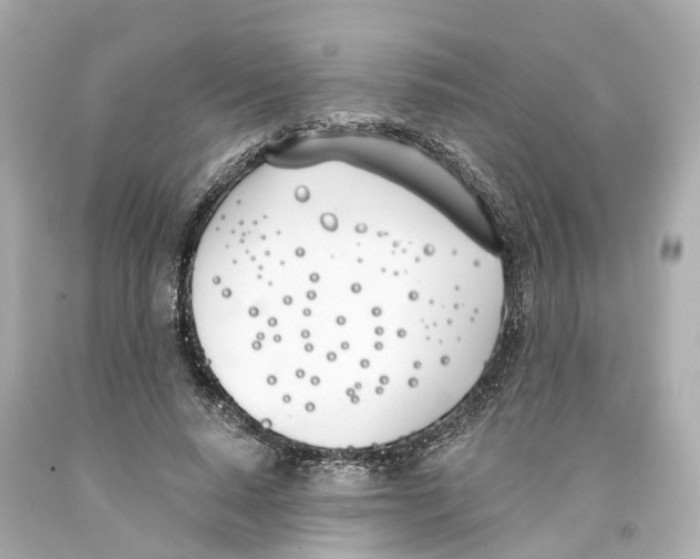 X0000093090640200710241201