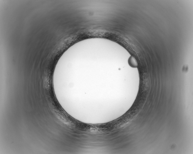 X0000093090641200710241201