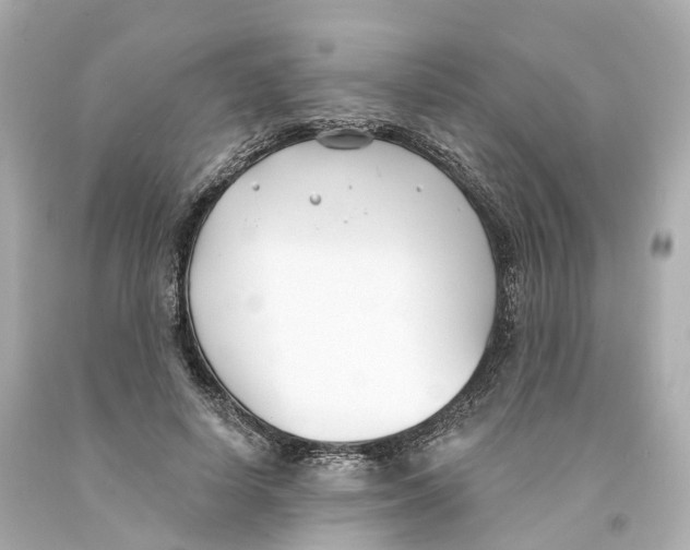 X0000093090642200710241201
