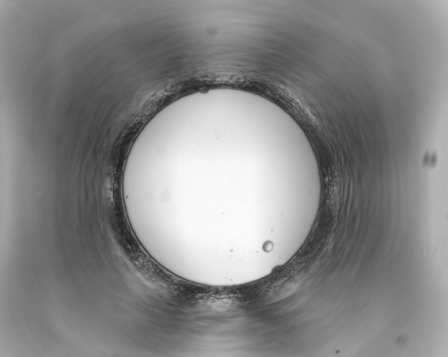 X0000093090643200710241201