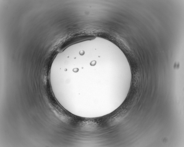 X0000093090644200710241201