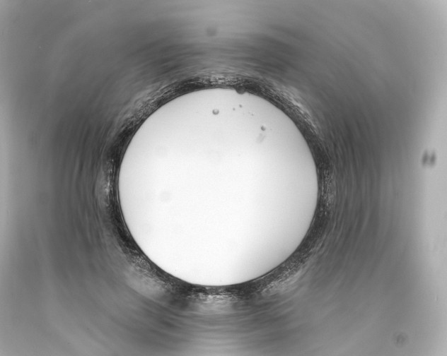 X0000093090645200710241201