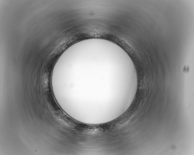 X0000093090646200710241201