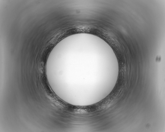 X0000093090649200710241201