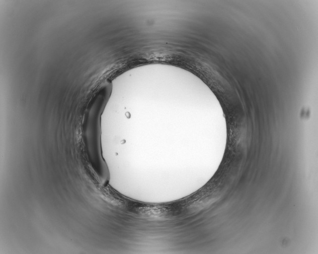 X0000093090652200710241201