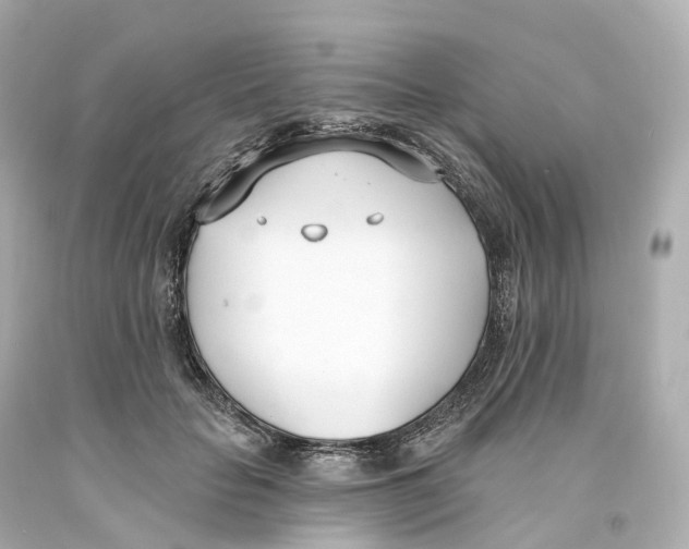 X0000093090653200710241201