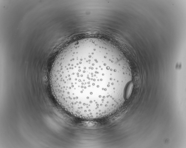 X0000093090654200710241201