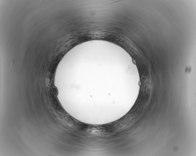 X0000093090655200710241201