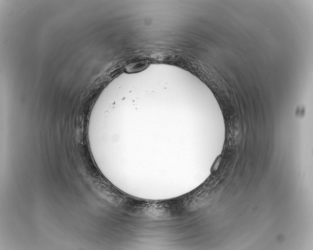 X0000093090656200710241201