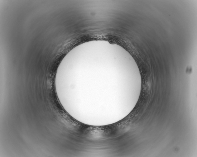 X0000093090658200710241201