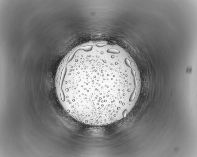 X0000093090659200710241201