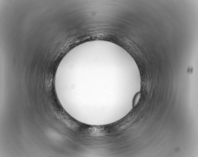 X0000093090660200710241201
