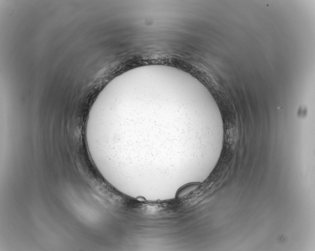 X0000093090662200710241201