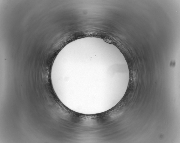X0000093090664200710241202