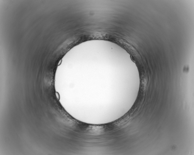 X0000093090665200710241202