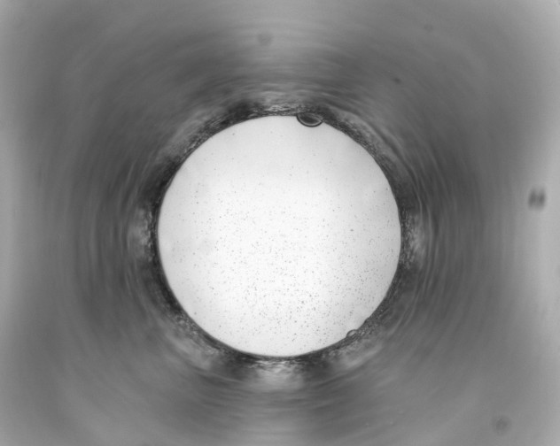 X0000093090667200710241202