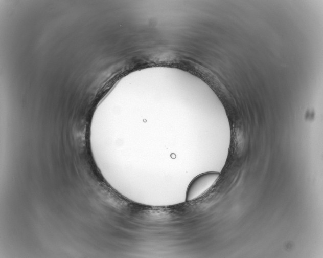 X0000093090668200710241202