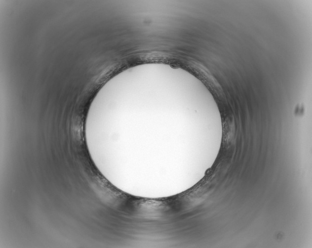 X0000093090669200710241202