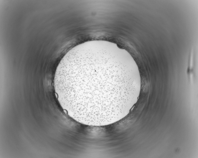 X0000093090670200710241202